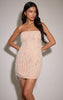 Nude Bandeau Embellished Mini Dress
