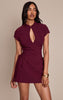 PLT Label Plum Tailored Band Collar Lace Up A-line Dress