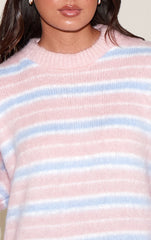 Pink Striped Brushed Knit Sweater